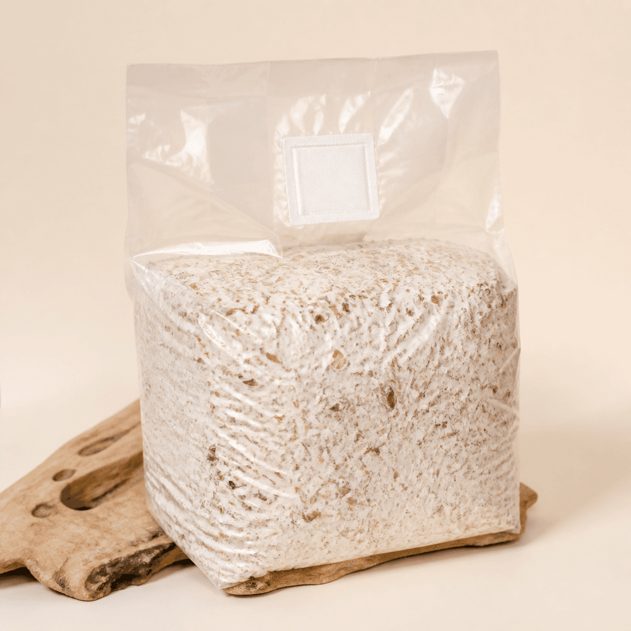 Five-pound ready-to-fruit mushroom block in a filter-patch bag